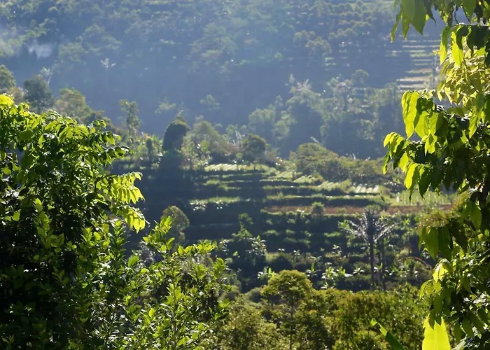 Plantation Luxury Mountain Escape *