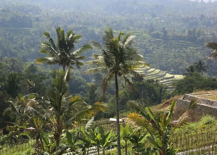Plantation Luxury Mountain Escape *