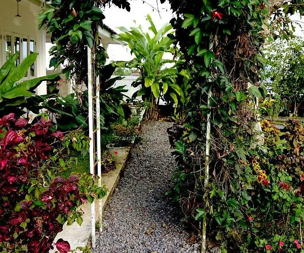 Plantation Luxury Mountain Escape *