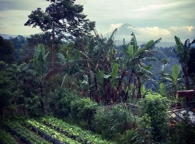 Plantation Luxury Mountain Escape Holiday home Bedugul (Bali)